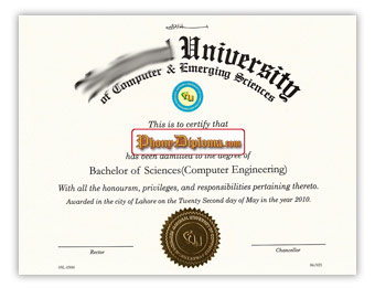 National University - Fake Diploma Sample from Singapore